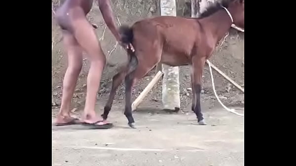 Man fucks donkey